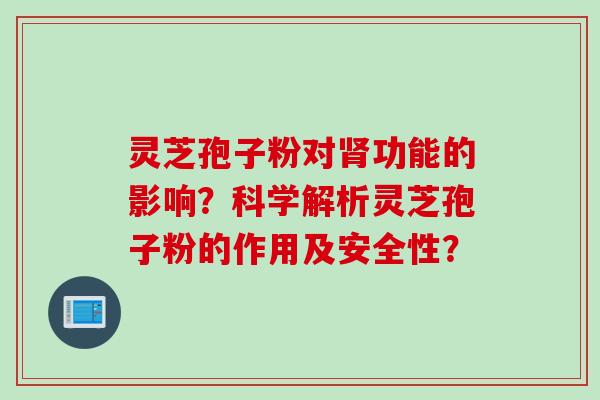 灵芝孢子粉对肾功能的影响？科学解析灵芝孢子粉的作用及安全性？