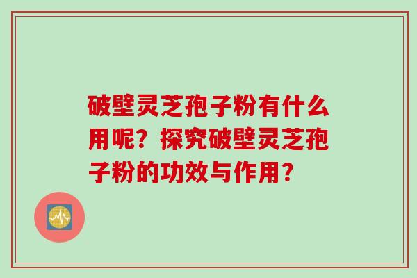 破壁灵芝孢子粉有什么用呢？探究破壁灵芝孢子粉的功效与作用？