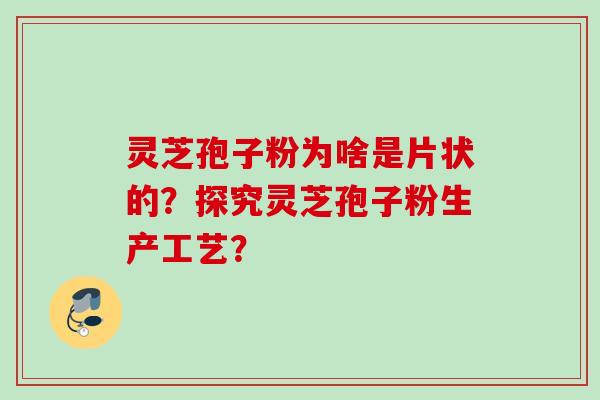 灵芝孢子粉为啥是片状的？探究灵芝孢子粉生产工艺？