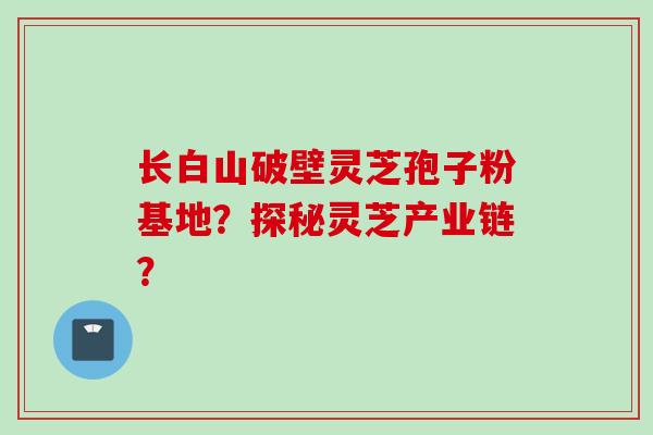 长白山破壁灵芝孢子粉基地？探秘灵芝产业链？