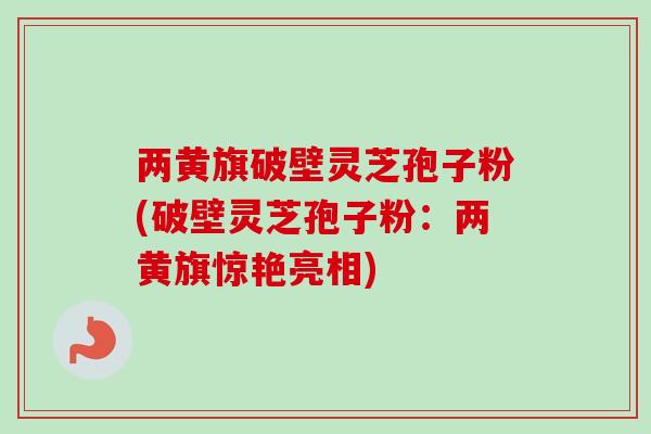 两黄旗破壁灵芝孢子粉(破壁灵芝孢子粉：两黄旗惊艳亮相)