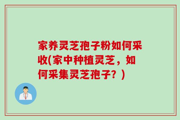 家养灵芝孢子粉如何采收(家中种植灵芝，如何采集灵芝孢子？)
