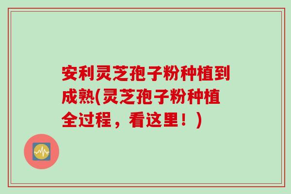 安利灵芝孢子粉种植到成熟(灵芝孢子粉种植全过程，看这里！)