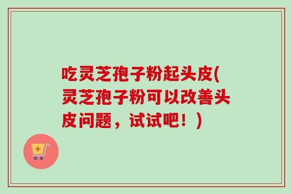 吃灵芝孢子粉起头皮(灵芝孢子粉可以改善头皮问题，试试吧！)