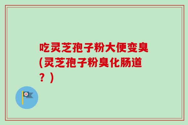 吃灵芝孢子粉大便变臭(灵芝孢子粉臭化肠道？)