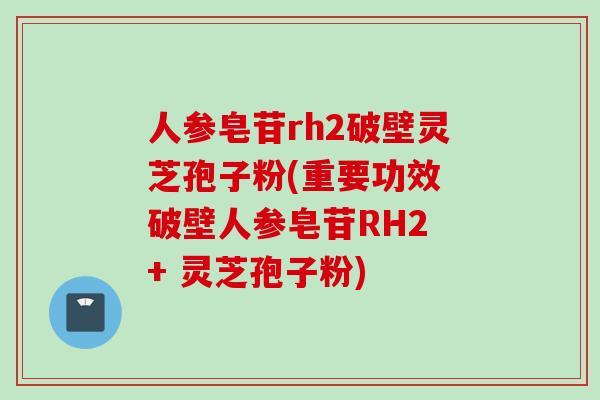 人参皂苷rh2破壁灵芝孢子粉(重要功效 破壁人参皂苷RH2 + 灵芝孢子粉)