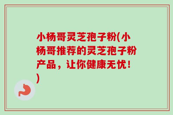 小杨哥灵芝孢子粉(小杨哥推荐的灵芝孢子粉产品，让你健康无忧！)