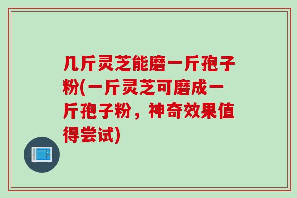 几斤灵芝能磨一斤孢子粉(一斤灵芝可磨成一斤孢子粉，神奇效果值得尝试)