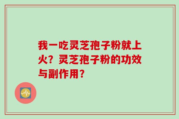 我一吃灵芝孢子粉就上火？灵芝孢子粉的功效与副作用？