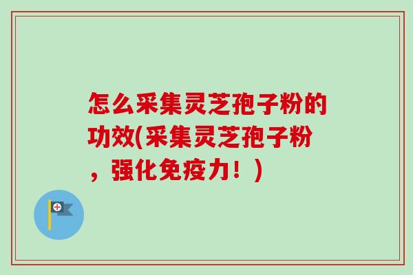 怎么采集灵芝孢子粉的功效(采集灵芝孢子粉，强化免疫力！)