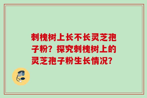 刺槐树上长不长灵芝孢子粉?探究刺槐树上的灵芝孢子粉生长情况? 刺槐树上长不长灵芝孢子粉?探究刺槐树上的灵芝孢子粉生长情况?