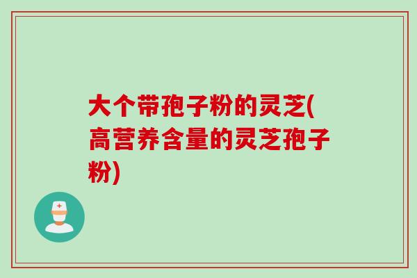 大个带孢子粉的灵芝(高营养含量的灵芝孢子粉)