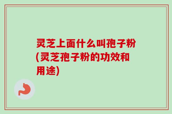 灵芝上面什么叫孢子粉(灵芝孢子粉的功效和用途)