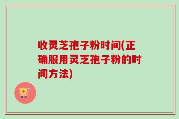 收灵芝孢子粉时间(正确服用灵芝孢子粉的时间方法)