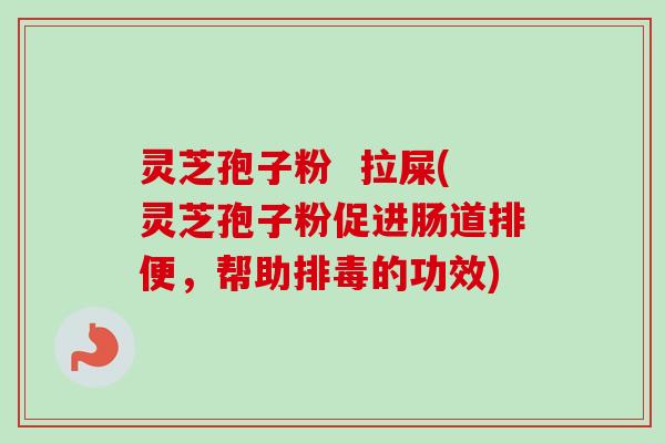 灵芝孢子粉  拉屎(灵芝孢子粉促进肠道排便，帮助排毒的功效)