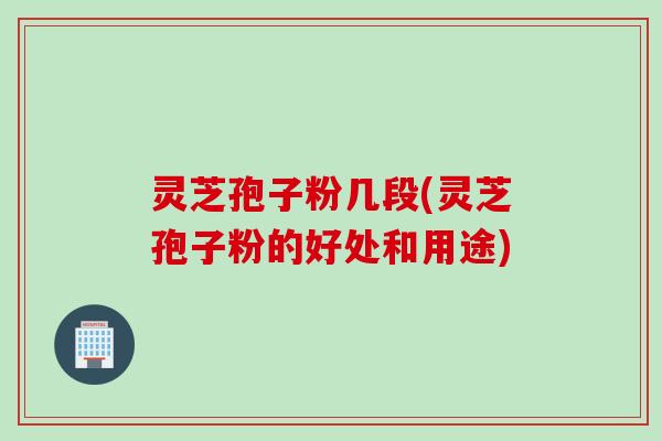 灵芝孢子粉几段(灵芝孢子粉的好处和用途)