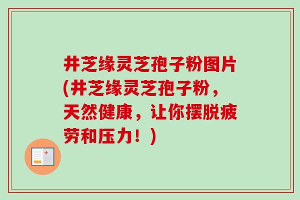 井芝缘灵芝孢子粉图片(井芝缘灵芝孢子粉，天然健康，让你摆脱疲劳和压力！)