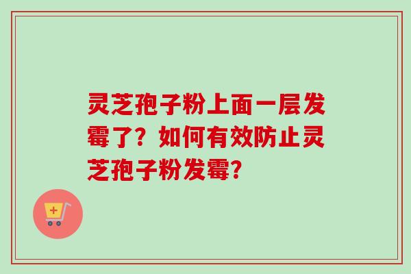 灵芝孢子粉上面一层发霉了？如何有效防止灵芝孢子粉发霉？