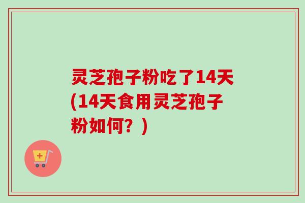 灵芝孢子粉吃了14天(14天食用灵芝孢子粉如何？)