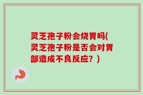 灵芝孢子粉会烧胃吗(灵芝孢子粉是否会对胃部造成不良反应？)