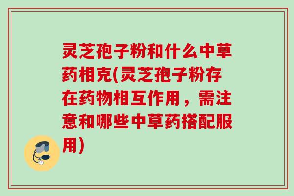 灵芝孢子粉和什么中草药相克(灵芝孢子粉存在药物相互作用，需注意和哪些中草药搭配服用)