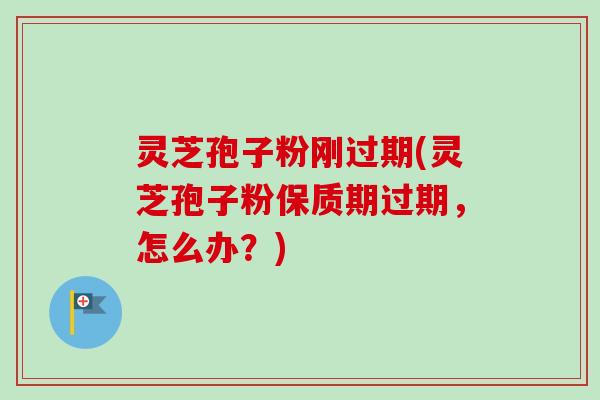 灵芝孢子粉刚过期(灵芝孢子粉保质期过期，怎么办？)