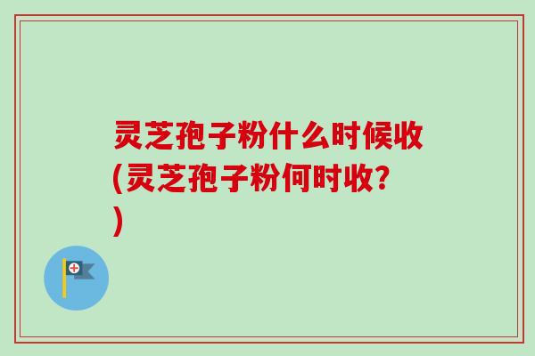 灵芝孢子粉什么时候收(灵芝孢子粉何时收？)