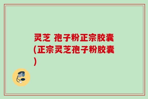 灵芝 孢子粉正宗胶囊(正宗灵芝孢子粉胶囊)