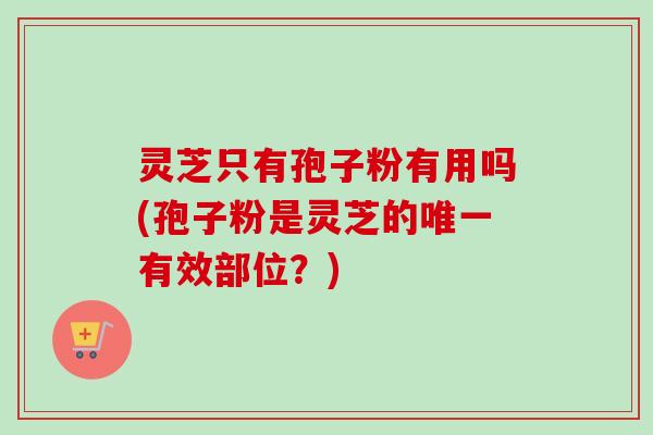 灵芝只有孢子粉有用吗(孢子粉是灵芝的唯一有效部位？)