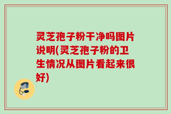 灵芝孢子粉干净吗图片说明(灵芝孢子粉的卫生情况从图片看起来很好)
