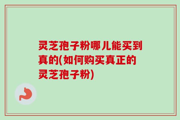 灵芝孢子粉哪儿能买到真的(如何购买真正的灵芝孢子粉)