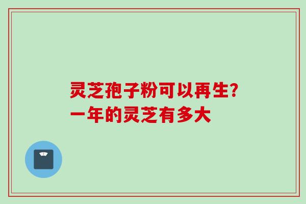 灵芝孢子粉可以再生？一年的灵芝有多大