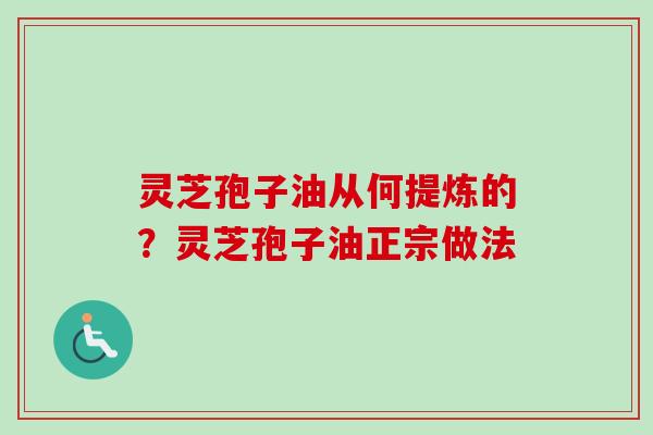 灵芝孢子油从何提炼的？灵芝孢子油正宗做法