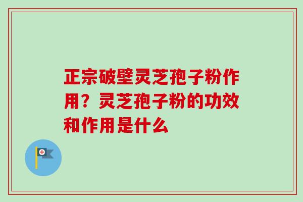 正宗破壁灵芝孢子粉作用？灵芝孢子粉的功效和作用是什么
