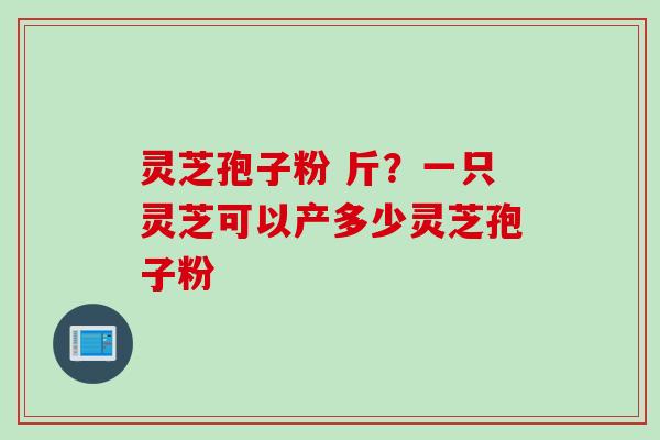 灵芝孢子粉 斤？一只灵芝可以产多少灵芝孢子粉