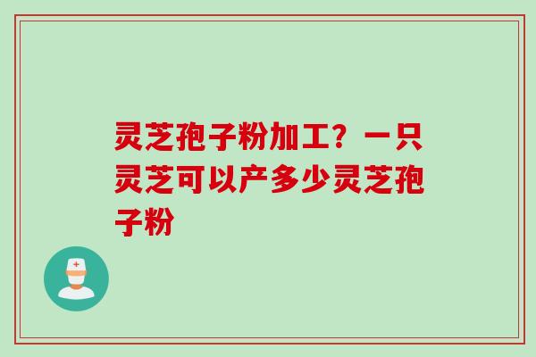灵芝孢子粉加工？一只灵芝可以产多少灵芝孢子粉