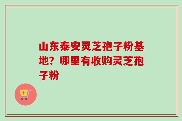 山东泰安灵芝孢子粉基地？哪里有收购灵芝孢子粉