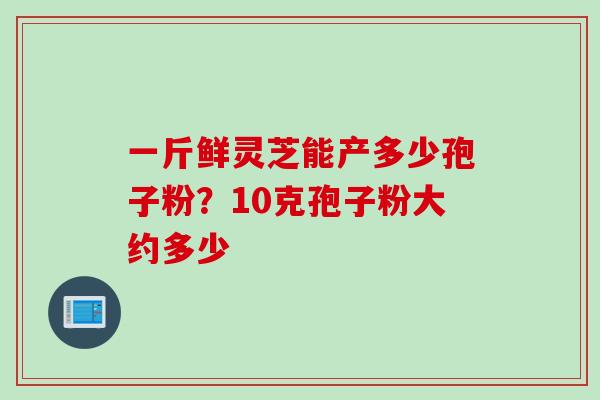 一斤鲜灵芝能产多少孢子粉？10克孢子粉大约多少