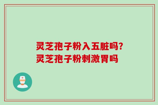 灵芝孢子粉入五脏吗？灵芝孢子粉刺激胃吗