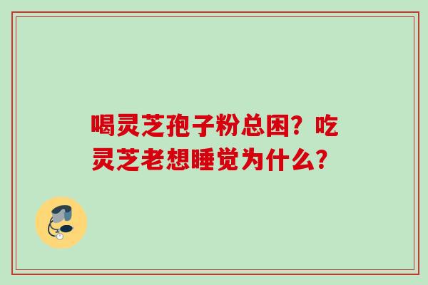 喝灵芝孢子粉总困？吃灵芝老想睡觉为什么？