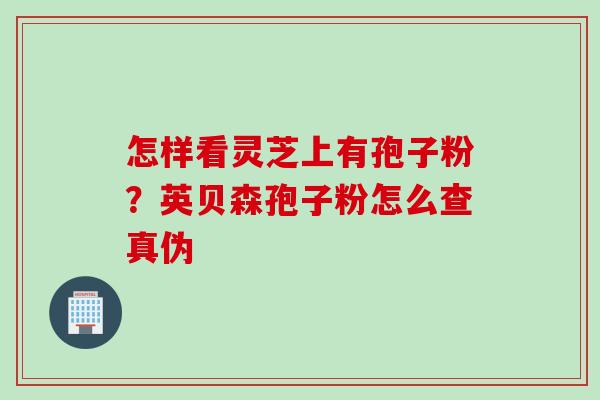 怎样看灵芝上有孢子粉？英贝森孢子粉怎么查真伪