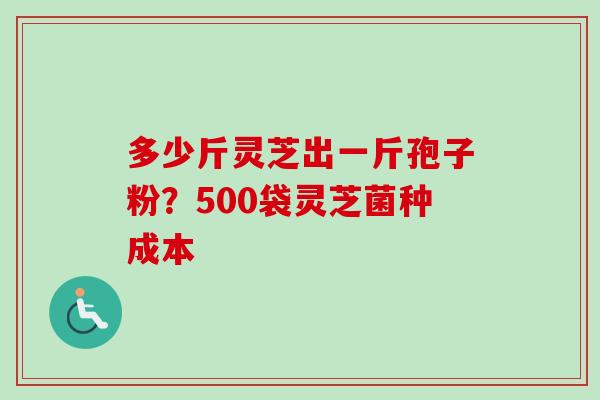 多少斤灵芝出一斤孢子粉？500袋灵芝菌种成本
