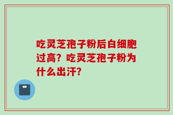 吃灵芝孢子粉后白细胞过高？吃灵芝孢子粉为什么出汗？
