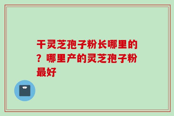 干灵芝孢子粉长哪里的？哪里产的灵芝孢子粉最好