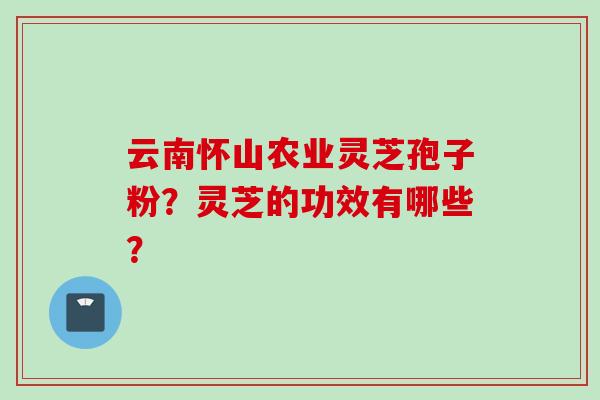 云南怀山农业灵芝孢子粉？灵芝的功效有哪些？
