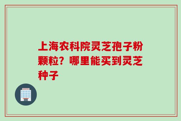 上海农科院灵芝孢子粉颗粒？哪里能买到灵芝种子