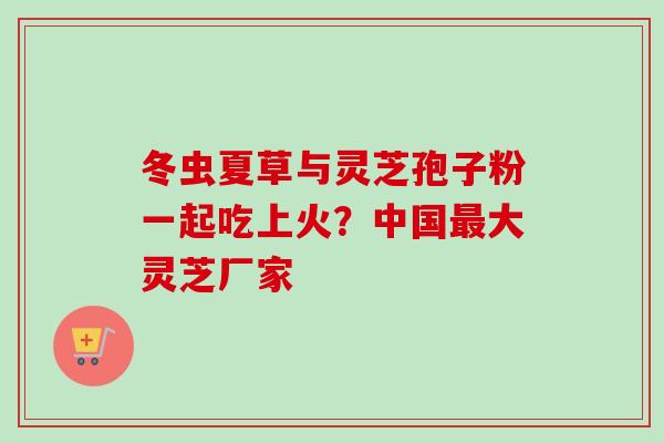 冬虫夏草与灵芝孢子粉一起吃上火？中国最大灵芝厂家
