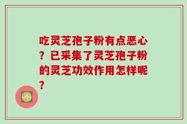 吃灵芝孢子粉有点恶心？已采集了灵芝孢子粉的灵芝功效作用怎样呢？