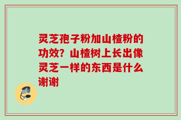 灵芝孢子粉加山楂粉的功效？山楂树上长出像灵芝一样的东西是什么谢谢