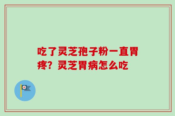 吃了灵芝孢子粉一直胃疼？灵芝胃病怎么吃